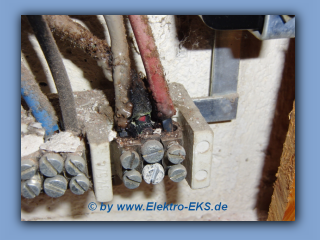 Verschmort 9.jpg